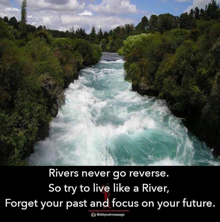 Embrace the Flow: Moving Forward Like a River