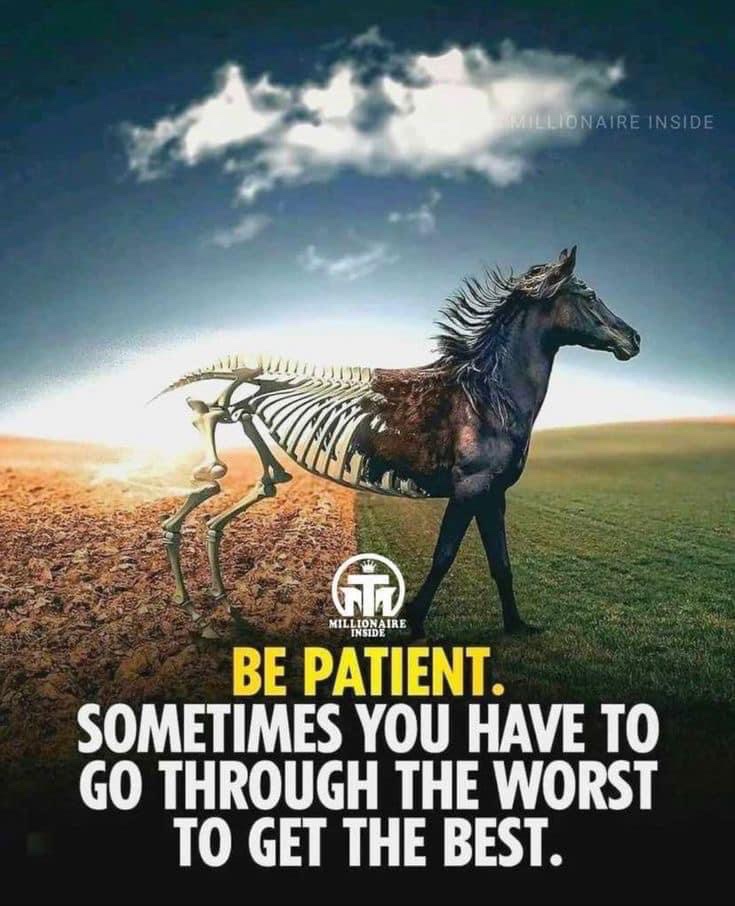 The Power of Patience on the Path to Success