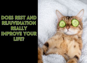 Does Rest and Rejuvenation Really Improve Your Life?